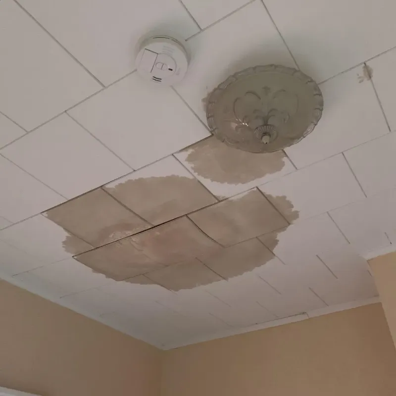 Ceiling Water Damage Repair in Thompsonville, PA