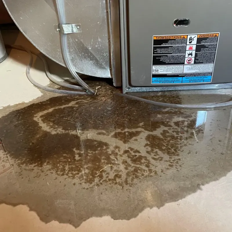 Pipe Burst and Leak Restoration in Thompsonville, PA