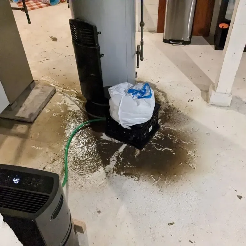 Sewage Backup Cleanup Service in Thompsonville, PA